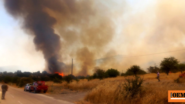 Φωτιά τώρα στην Επίδαυρο: Ενισχύθηκαν οι δυνάμεις, σηκώθηκαν 12 εναέρια
