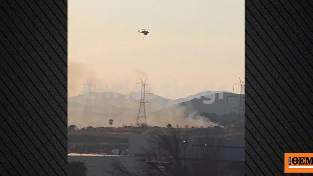 Οριοθετήθηκε η φωτιά σε χαμηλή βλάστηση στον Ασπρόπυργο, μήνυμα 112 για ετοιμότητα, δείτε βίντεο