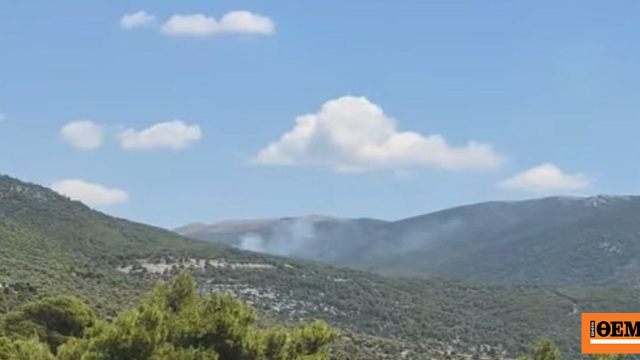 Οριοθετήθηκε η φωτιά σε δασική έκταση στα Βίλια, σηκώθηκαν 7 εναέρια