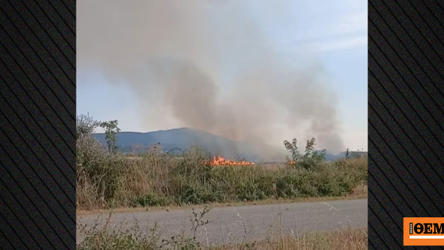 Υπό έλεγχο η φωτιά σε ξερά χόρτα στην Εργάνη Ροδόπης, σηκώθηκαν τέσσερα εναέρια, δείτε βίντεο