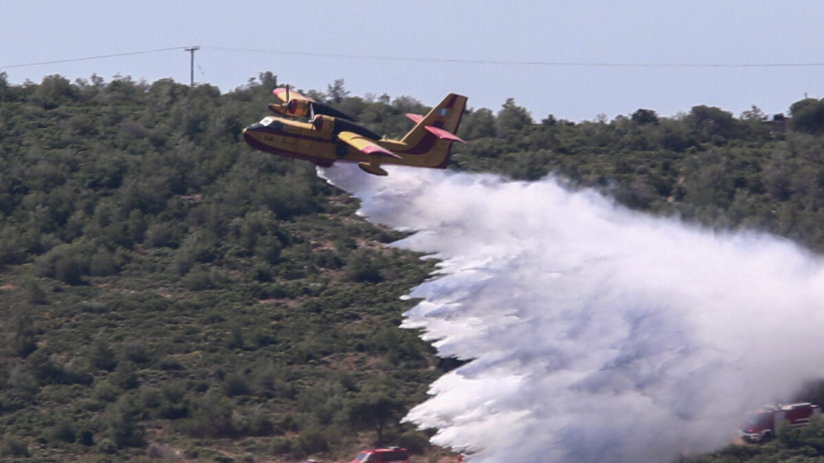 Ά&sigma;&kappa;&eta;&sigma;&eta; &gamma;&iota;&alpha; &tau;&eta;&nu; &alpha;&nu;&tau;&iota;&mu;&epsilon;&tau;ώ&pi;&iota;&sigma;&eta; &delta;&alpha;&sigma;&iota;&kappa;ή&sigmaf; &pi;&upsilon;&rho;&kappa;&alpha;&gamma;&iota;ά&sigmaf;