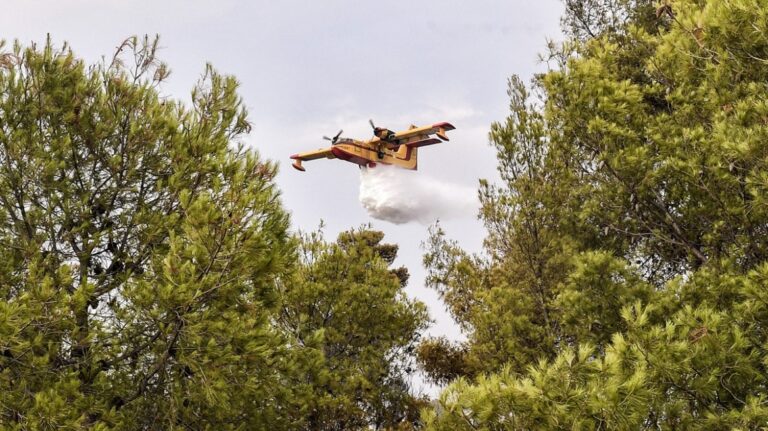 Απαγόρευση κυκλοφορίας αύριο σε δασικές περιοχές Κασσάνδρας και Σιθωνίας λόγω υψηλού κινδύνου πυρκαγιάς