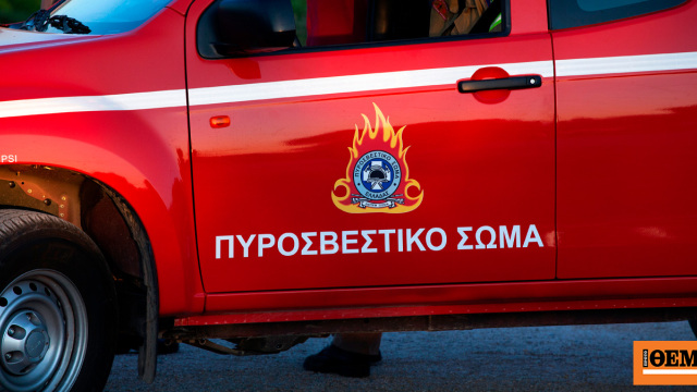 Συνελήφθησαν δύο ανήλικοι στην Ερέτρια, έριξαν κροτίδες και προκάλεσαν φωτιά