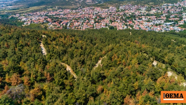 Υψηλός κίνδυνος πυρκαγιάς αύριο σε δασικές εκτάσεις της Θεσσαλονίκης, απαγόρευση κυκλοφορίας