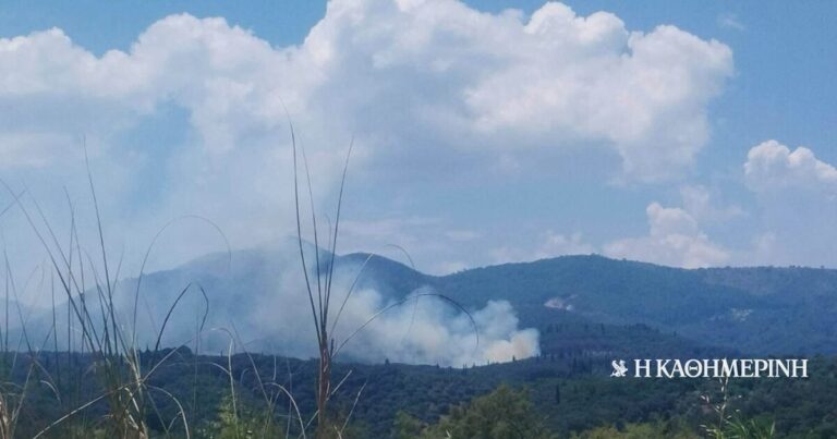 Μάχη με τις φλόγες σε πολλαπλά μέτωπα