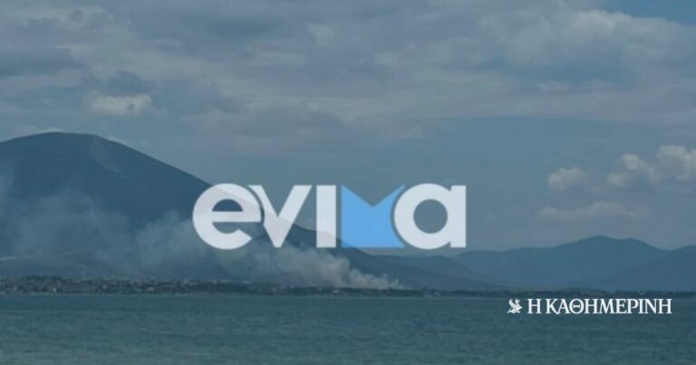 Φωτιά τώρα στην Εύβοια: Στη μάχη επίγειες και εναέριες δυνάμεις