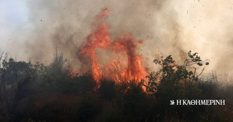 Φωτιά τώρα στη Ριτσώνα