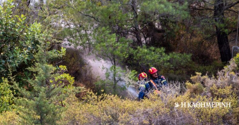 Συναγερμός στη Ρόδο για φωτιά στον Ατάβυρο – Μεγάλη κινητοποίηση επίγειων και εναέριων δυνάμεων