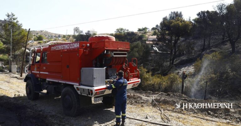 Φωτιά τώρα στην Εύβοια – Πιθανό να ξεκίνησε από πτώση κεραυνού