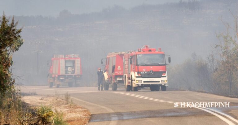 Φωτιά στην Περαία Θεσσαλονίκης κοντά σε σπίτια – Ηχησε το 112