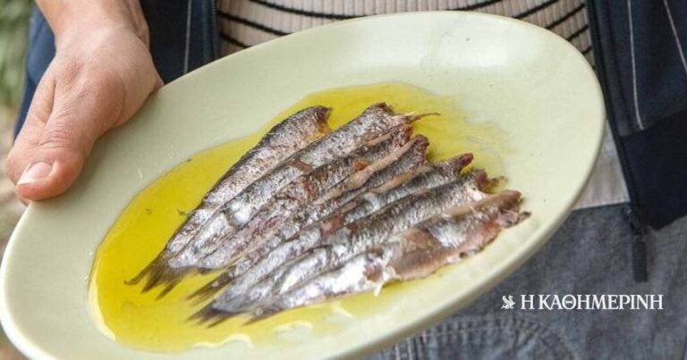Σαρδέλες παστές της Λέσβου
