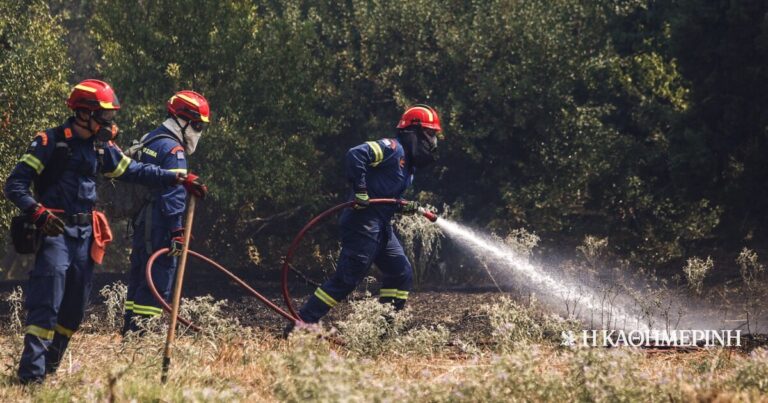 Θεσσαλονίκη: Χωρίς ενεργό μέτωπο η φωτιά στο Περιβολάκι – Παραμένουν στο σημείο πυροσβεστικές δυνάμεις