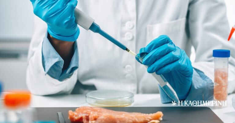 Λαμία: Σε φάση εκτόνωσης τα κρούσματα σαλμονέλας – Σε εξέλιξη οι εργαστηριακοί έλεγχοι