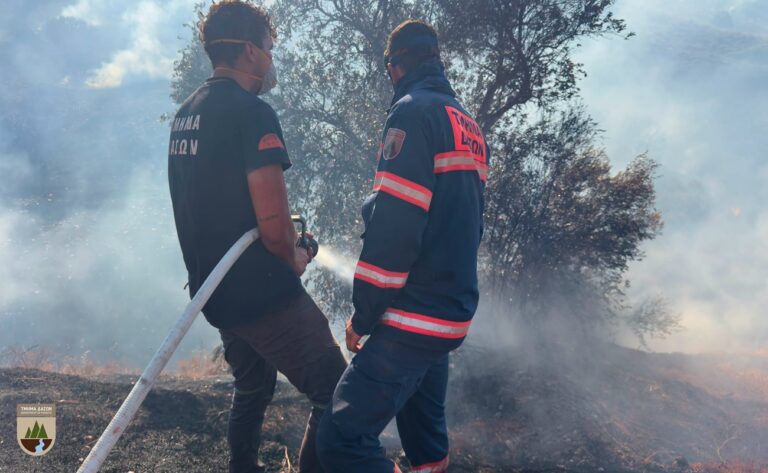 Βλέπουν εμπρησμό πίσω από την πυρκαγιά στη Λάρνακα