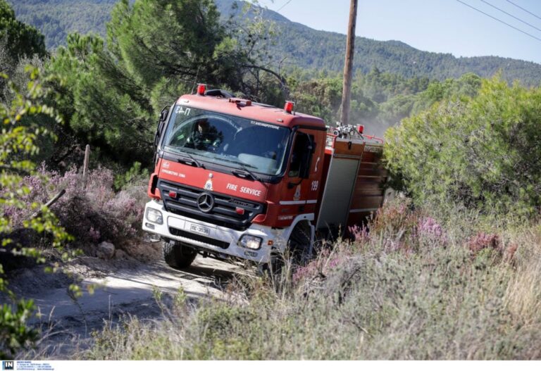 Τι άλλαξε στην Πολιτική Προστασία και την Πυροσβεστική τα τελευταία χρόνια