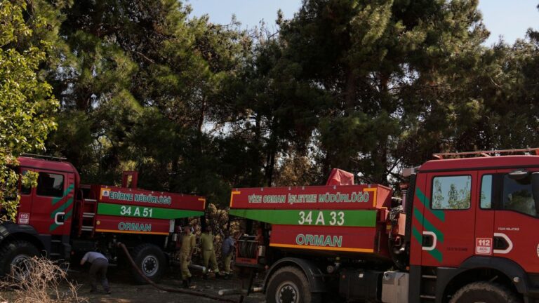 Τουρκία : Υπό έλεγχο οι μεγάλες δασικές πυρκαγιές σε Φετιγιέ και Αττάλεια