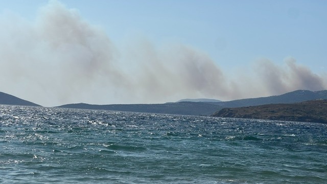 φωτιά-στη-σκύρο-στάχτη-πάνω-από-3-600-στρέμ-564404578