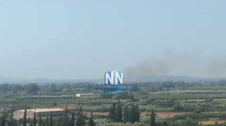 Πυρκαγιά στο κάμπο του Ευηνοχωρίου .Βιντεο 