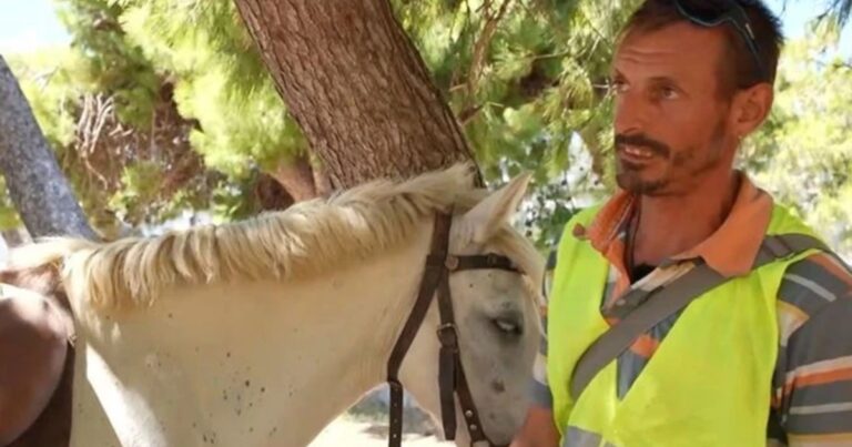 Άνδρος: «Μπορεί να ήταν λίγο επικίνδυνο, αλλά το βαστούσα πολύ κοντά» – Πρόστιμο 700 ευρώ σε αναβάτη αλόγου για μέθη
