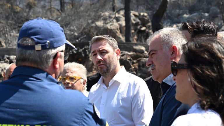 &Omicron; &Nu;ί&kappa;&omicron;&sigmaf; &Alpha;&nu;&delta;&rho;&omicron;&upsilon;&lambda;ά&kappa;&eta;&sigmaf; &sigma;&tau;&alpha; &kappa;&alpha;&mu;έ&nu;&alpha;