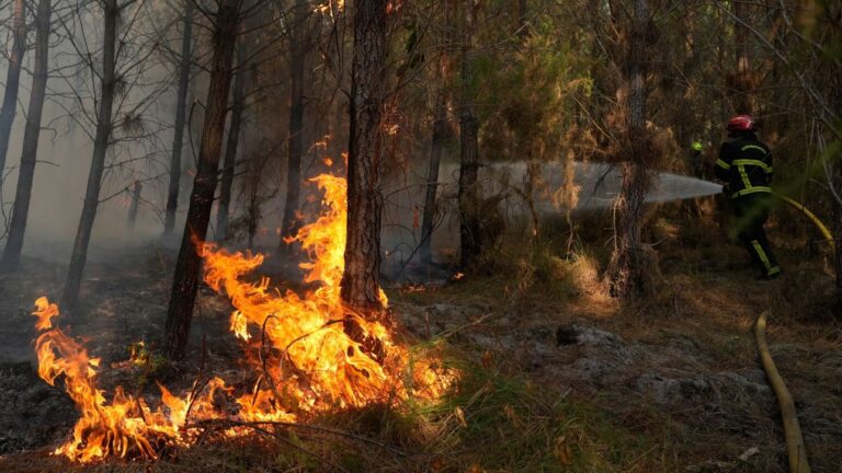 Γαλλία: Νέα φωτιά σε δάσος της Λαντ - Τουλάχιστον 400 κάτοικοι απομακρύνθηκαν από τα σπίτια τους