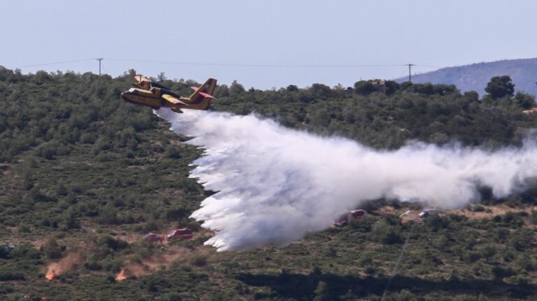 Φωτιά στο Αριοχώρι Καλαμάτας, επιχειρούν δύο αεροσκάφη
