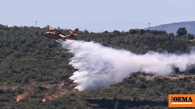 Υπό μερικό έλεγχο η φωτιά στον Άγιο Νικόλαο Λακωνίας
