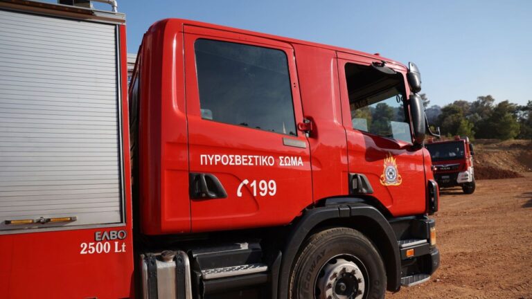 Φωτιά στο Παλαιοχώρι Χαλκιδικής