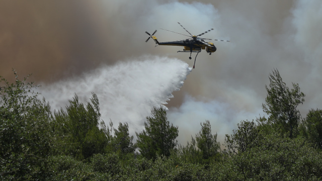 Έσβησε η φωτιά στην περιοχή Τουρτούγια Λάρισας