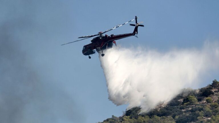 Φωτιά σε δασική περιοχή στα Γρεβενά - Επιχειρούν επίγεια και εναέρια μέσα