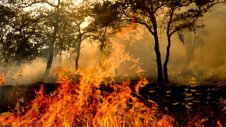 Φωτιά στην Καλιφόρνια: Πτώμα εντοπίστηκε μέσα σε καμένο σπίτι