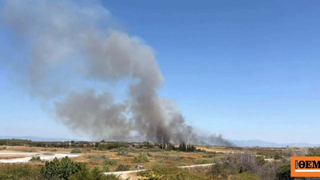 Χωρίς ενεργό μέτωπο η φωτιά στον Ίμερο Ροδόπης