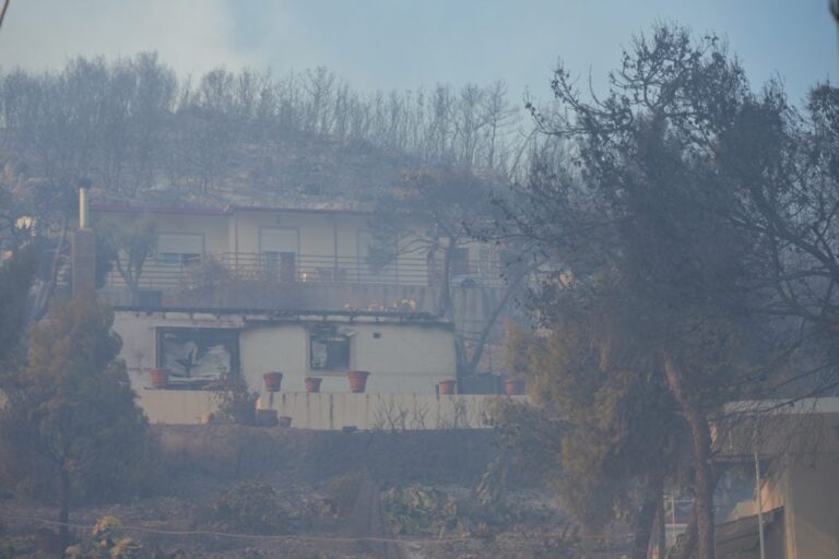 Γεωργιάδης για τις φωτιές Σαλαμίνα: «10 περιστατικά με εγκαύματα και συμπτώματα από εισπνοή καπνού»