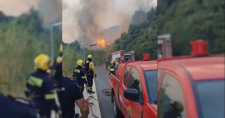 Φωτιά στα Σελλιά Ρεθύμνου: Ελεύθερος με εγγύηση 10.000 ευρώ ο 35χρονος Ισραηλινός – «Στα ψιλά γράμματα η μη χρήση ψησταριάς σε περίπτωση ανέμων»