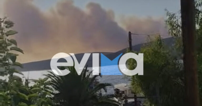 Φωτιά στη Σκύρο: Μάχη σε δύο μέτωπα με ανέμους άνω των 7 μποφόρ – Βελτιωμένη η εικόνα