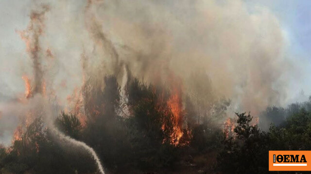 Πανελλήνια Ομοσπονδία Γεωτεχνικών Δημοσίων Υπαλλήλων: Το Antinero έχει συμβάλλει στη μάχη κατά των πυρκαγιών, όχι άλλη υποκρισία