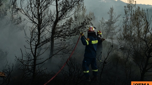 «Δεν ανάβουμε φωτιά για κανέναν λόγο»: Έκκληση από τον εκπρόσωπο της Πυροσβεστικής, ακραίος ο κίνδυνος πυρκαγιάς σήμερα για έξι περιοχές
