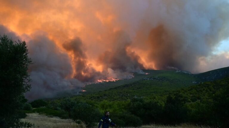 ΦΩΤΟΓΡΑΦΙΑ ΑΡΧΕΙΟΥ ΜΙΧΑΛΗΣ ΚΑΡΑΓΙΑΝΝΗΣ