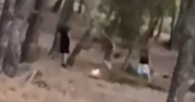 Εντοπίστηκαν οι 13χρονοι που έπαιζαν με τη φωτιά σε δάσος στην Πεντέλη για ένα challenge στα social media