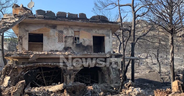 Φωτιά στη Σαλαμίνα: Η αγωνιώδης μάχη ενός ζευγαριού όταν οι φλόγες έφτασαν σπίτι του – «Χωρίς τα ζώα μου δεν φεύγω»
