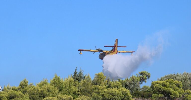 Χειροπέδες σε 40χρονο για φωτιά από πρόθεση στην Τροιζήνα – Εξετάζεται η εμπλοκή του σε άλλους 9 εμπρησμούς