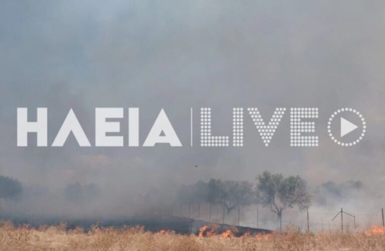 Χωρίς ενεργό μέτωπο η φωτιά στην Aγία Μαρίνα Ηλείας, δείτε φωτογραφίες