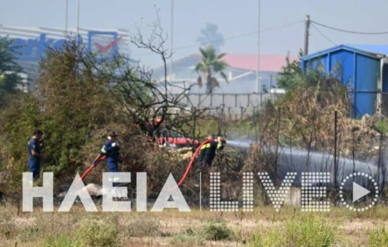 Χωρίς ενεργό μέτωπο οι φωτιές σε Γαστούνη και Κοττέικα Ηλείας, δείτε φωτογραφίες

