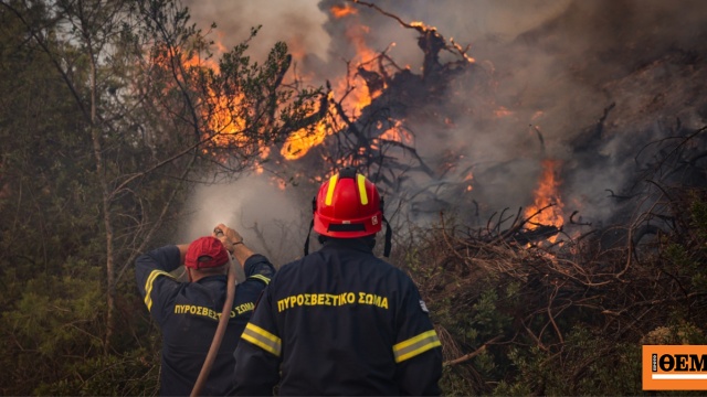 Χωρίς ενιαίο μέτωπο η φωτιά στη Σίβηρη Χαλκιδικής: Μάχη με διάσπαρτες εστίες, 481 άνθρωποι μεταφέρθηκαν σε ασφαλή σημεία από παραλία