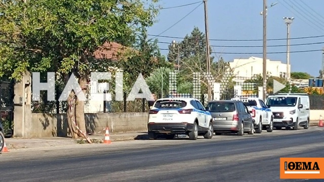 Δύο αστυνομικοί τραυματίες από την επίθεση των Ρομά στη Γαστούνη, ταυτοποιήθηκαν οι δράστες