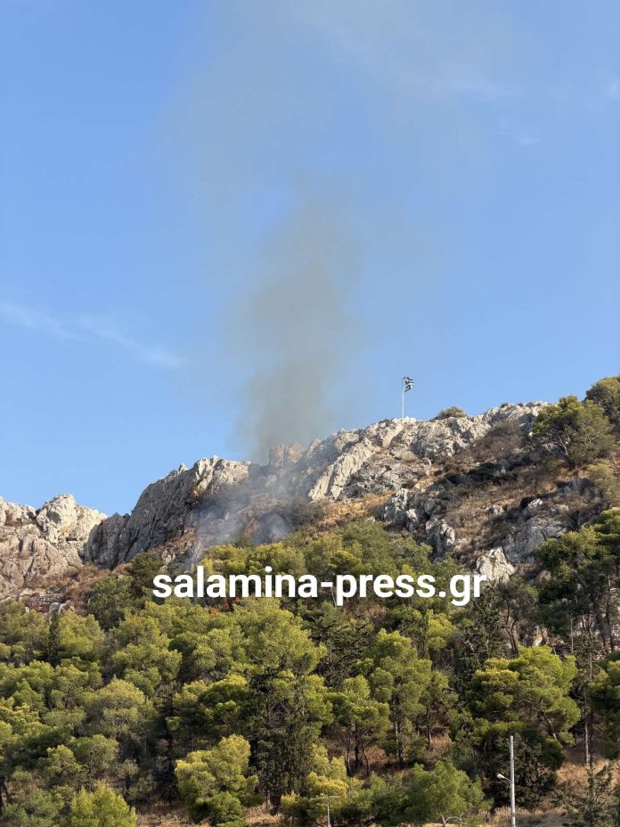 Φωτιά στη Σαλαμίνα, κοντά σε κατοικημένη περιοχή-1