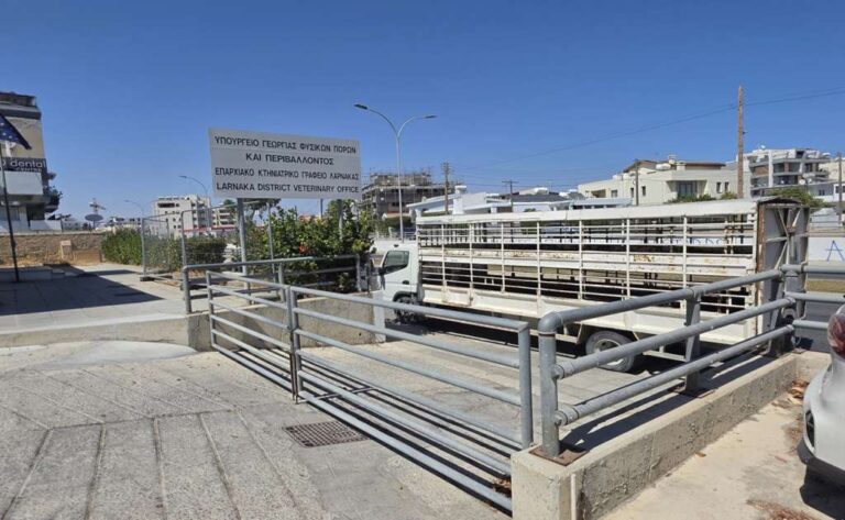 Παρέμβαση ΠτΔ για τις αποζημιώσεις ζητούν οι κτηνοτρόφοι