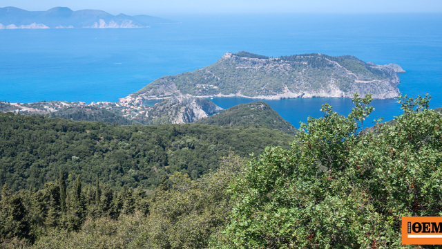 Η χαλέπιος πεύκη στο δάσος της Σίβηρης έχει τη δύναμη να ξαναγίνει δάσος, λέει καθηγητής του ΑΠΘ