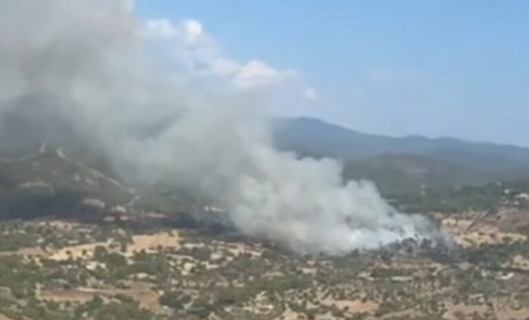 Υπό έλεγχο οι φωτιές στη Λυσό-«Βλέπουν» κακόβουλη ενέργεια