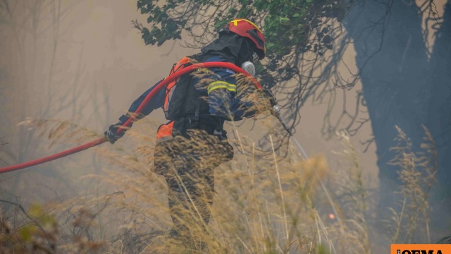 Φωτιά σε δασική έκταση στο Δροσοχώρι Τρικάλων, άμεση κινητοποίηση της Πυροσβεστικής